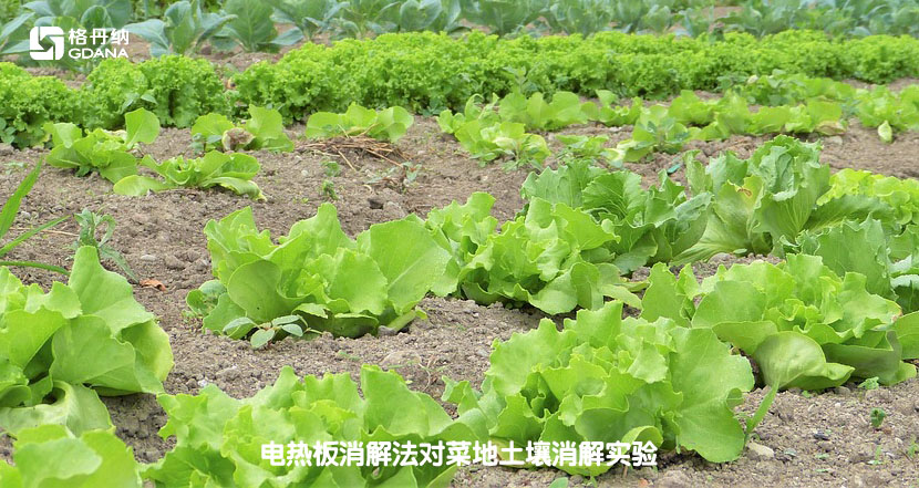 电热板消解法对菜地土壤消解实验