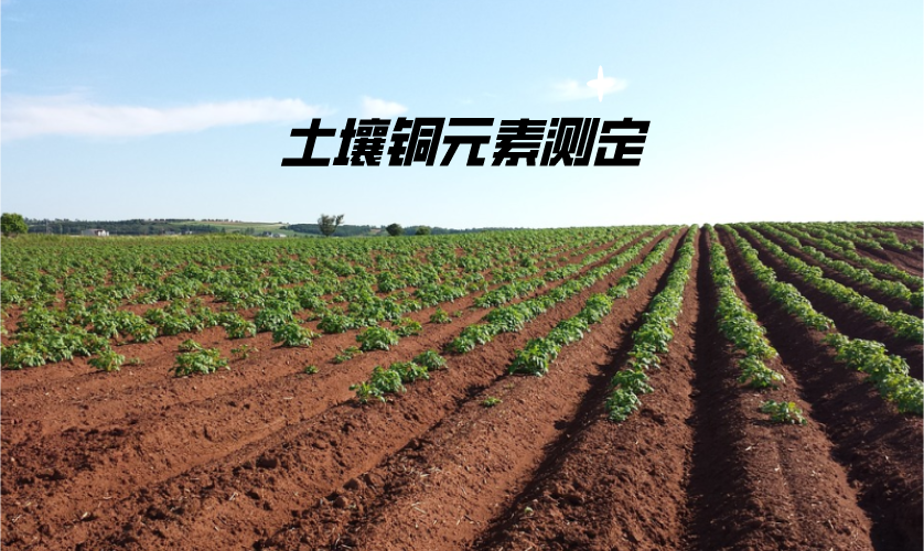 土壤铜元素测定