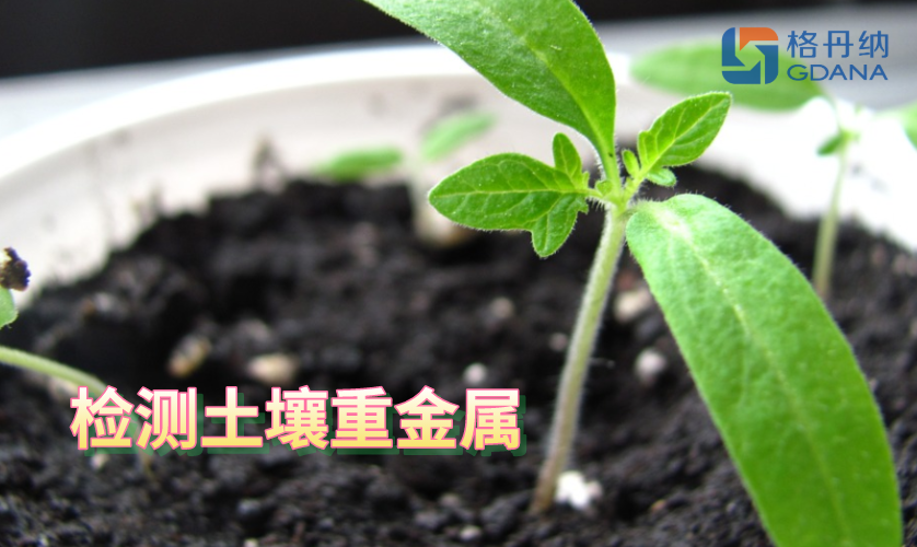 检测土壤重金属